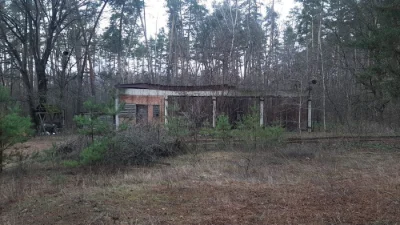 Ліс, будинок,4 гаражі ,унікальне місце для бізнесу і  відпоч