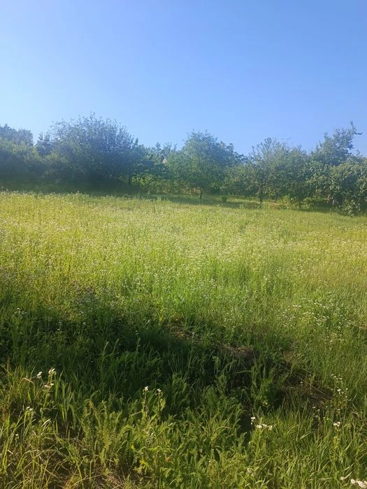 Приватизована земельна ділянка під забудову з цікавим ландша