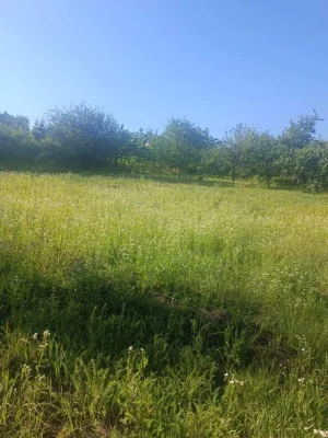 Приватизована земельна ділянка під забудову з цікавим ландша