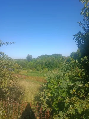 Приватизована земельна ділянка під забудову з цікавим ландша