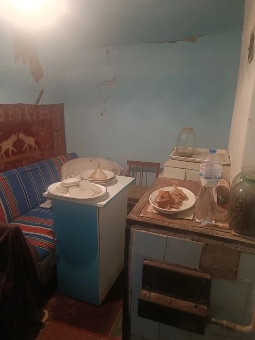 Приватизована земельна ділянка під забудову з цікавим ландша