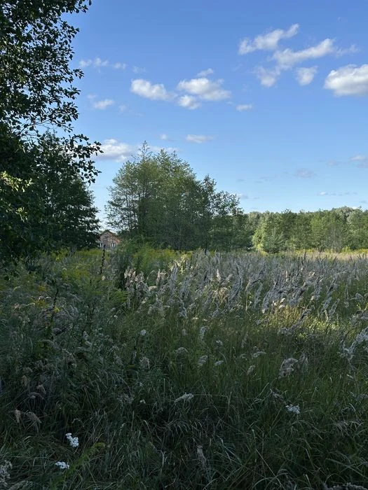 Продаж ділянки в Вакуленцях в мальовничому місці