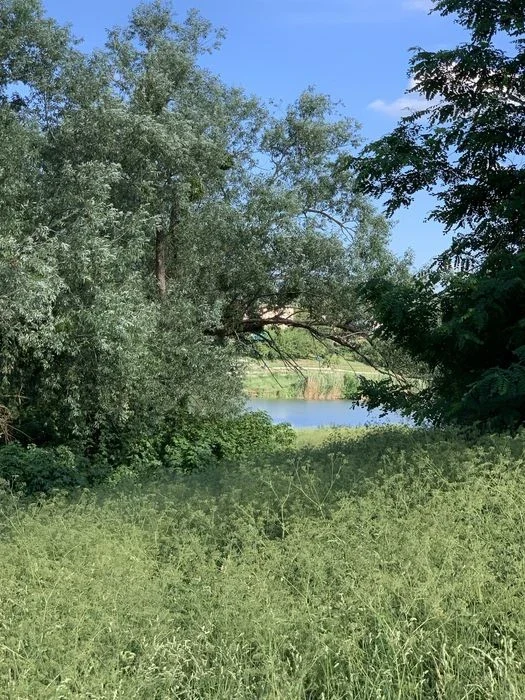 Земля ділянка з видом на ставок 1 км від траси Київ-Харьків