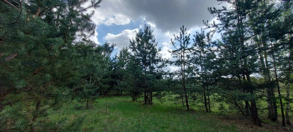Продам власну садову ділянку