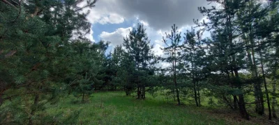 Продам власну садову ділянку
