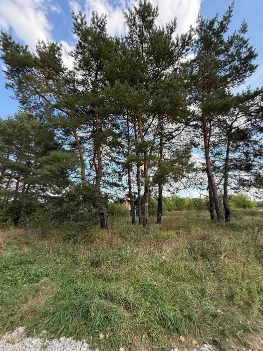 ПРОДАЖ! ЗЕМЛЯ - 71 сотка Петрівка!