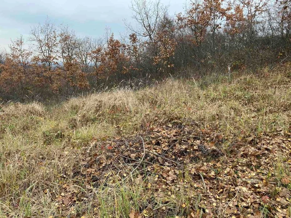 продам зем. ділянку для житлового будівництва Червениця пр.