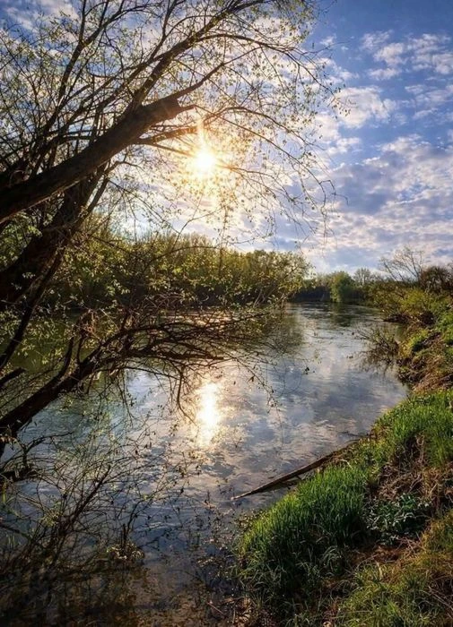 Під котеджі. 2 ділянки, кутові. Перша лінія від річки,до річ