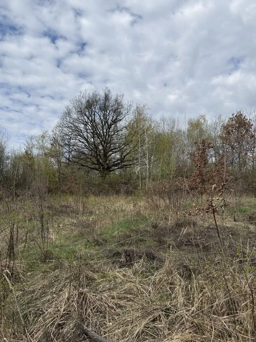 Продам земельну ділянку поруч з ЖК «Шервуд»