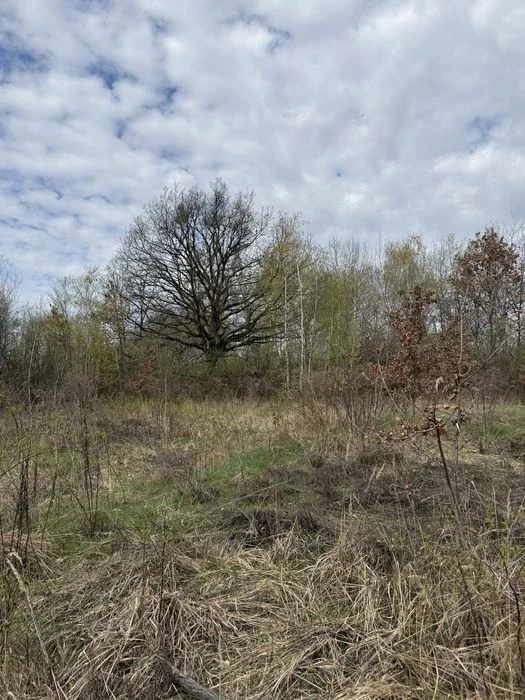 Продам земельну ділянку поруч з ЖК «Шервуд»
