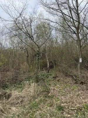 Продам земельну ділянку поруч з ЖК «Шервуд»