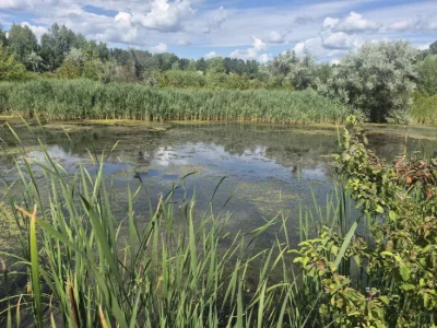 Земельна ділянка 20 соток у Дахнівці — прямий вихід до води