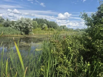 Земельна ділянка 20 соток у Дахнівці — прямий вихід до води