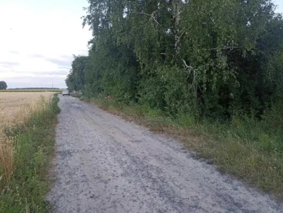 Продається земельна ділянка 55 сотки та побудовані споруди в