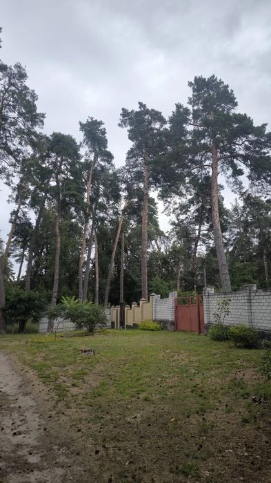 Продаж маленького будиночка та земельної ділянки в Соснівці