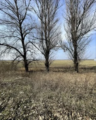 Продаж земельної ділянки
