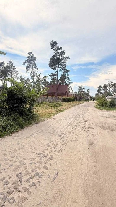 Продаж ділянки, Соснівка