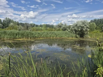 Продаж земельної ділянки 10 соток у Дахнівці з виходом до во