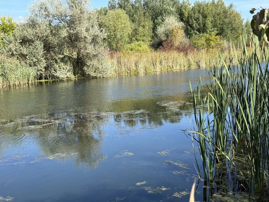 Дві класних ділянки біля води Дахнівка