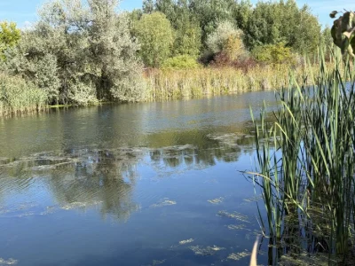 Дві класних ділянки біля води Дахнівка