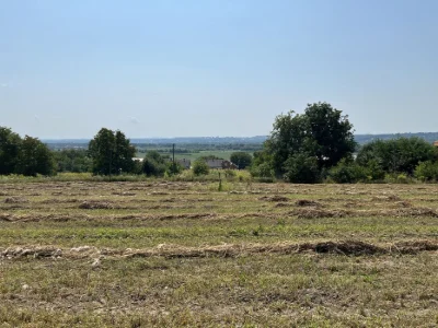 Продаж 40 соток під лісом для житлової забудови (Магала, Буд