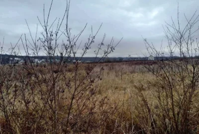 Продаж земельної ділянки в Чернівцях,вул. Козацька, 6