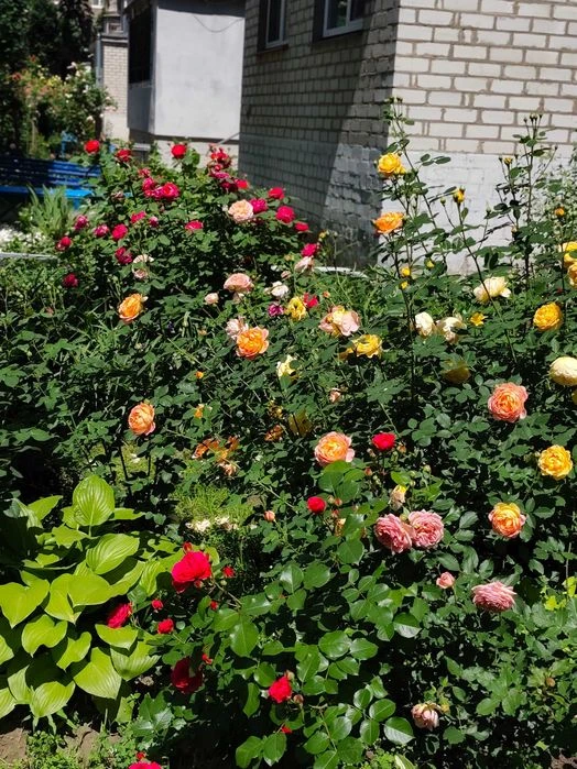 Selling a 3-room apartment in Odessa