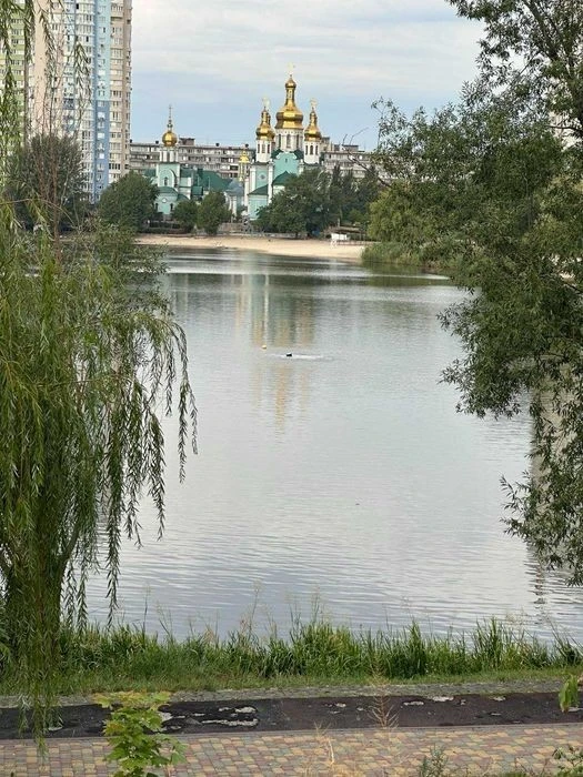 Двухкомнатная Березняковськая срочно сдам квартиру