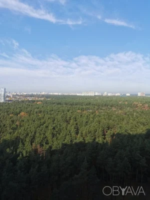 Світла 3Д