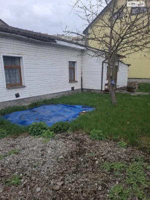 Продаж Дім Софіївка