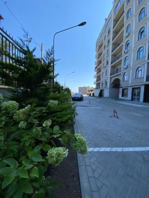 1-к. квартира 48,4 м² | свободная планировка  | ЖК Авіньон |