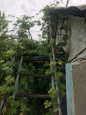 Продажа Земля сельскохозяйственного назначения