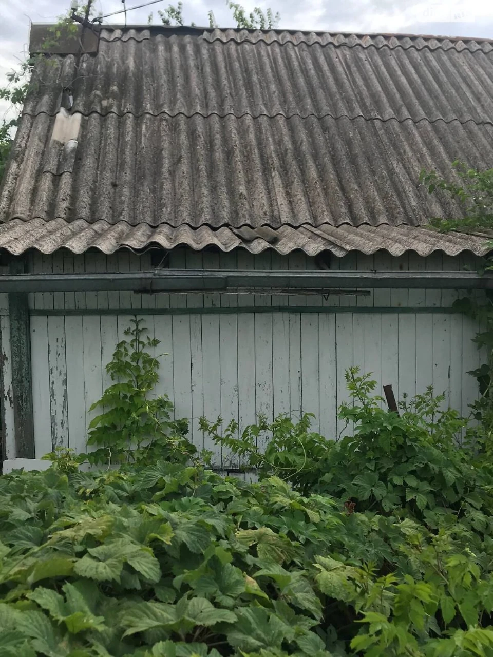 Продажа Земля сельскохозяйственного назначения