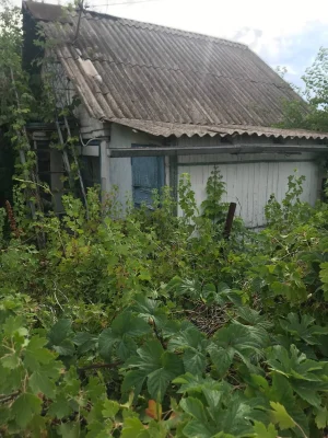 Продажа Земля сельскохозяйственного назначения
