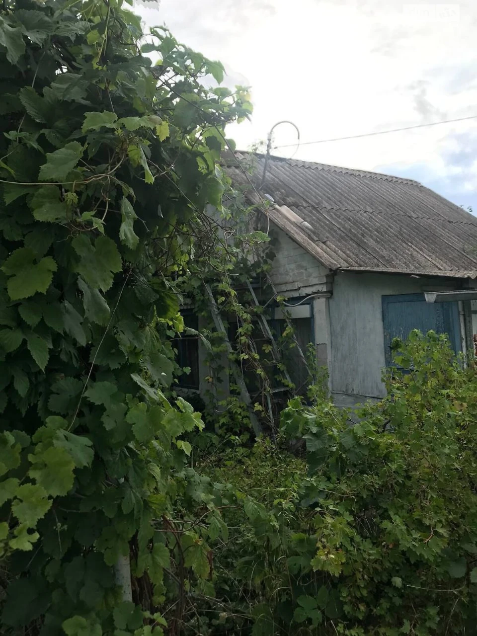 Продажа Земля сельскохозяйственного назначения