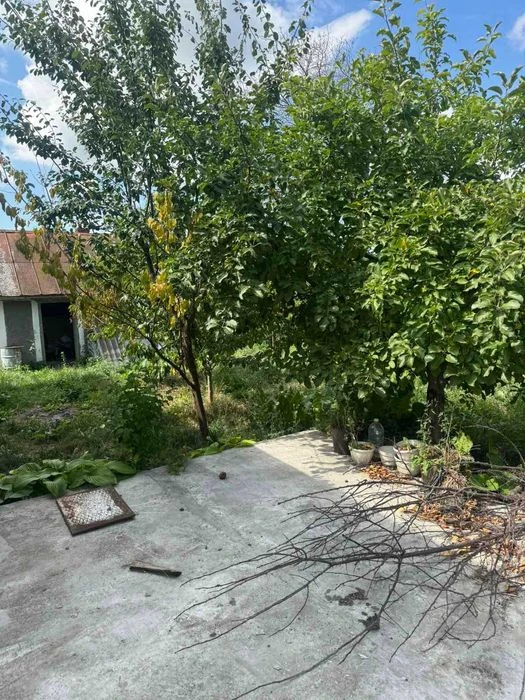 46531 Продаж. 3 кімнатний будинок  у центрі ДУНАЇВЦІВ.
