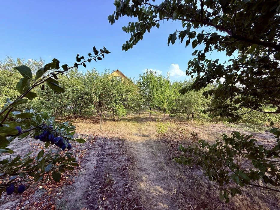 Продам будинок 80 м² 10 соток Стара Балашівка !