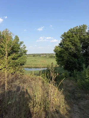 Продам будинок 80 м² 10 соток Стара Балашівка !