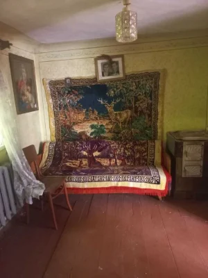 Половина особняка під ремонт