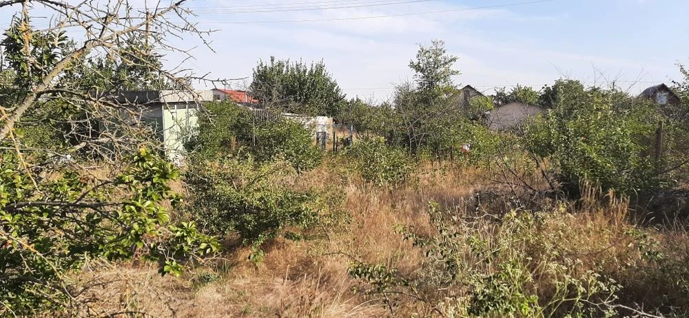 продам дачну ділянку