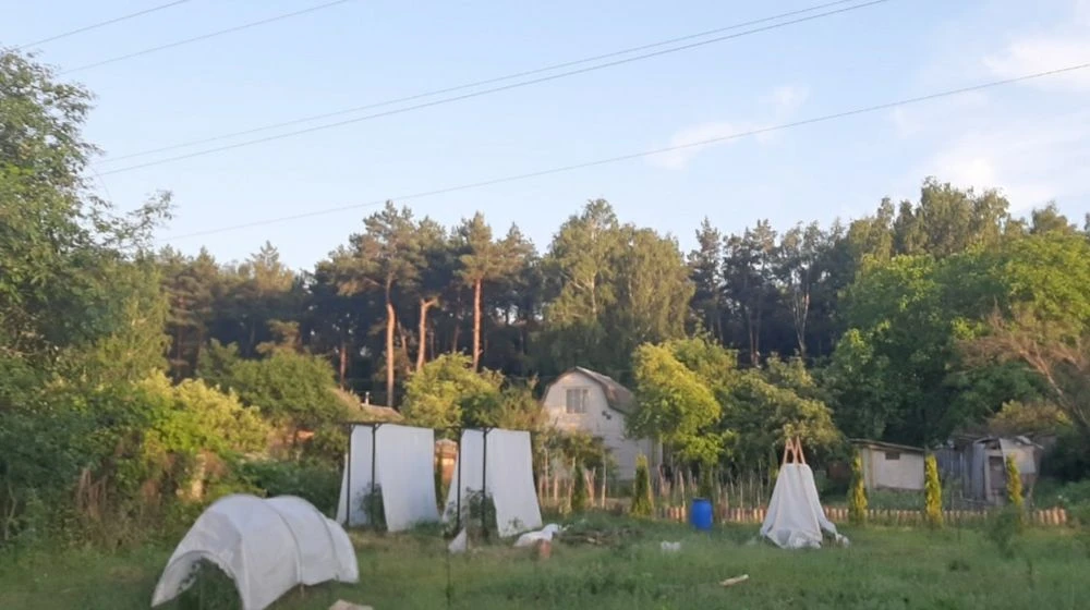 Продам дачу 15 соток в Чернигове ЗАЗ. ст Октябрьское
