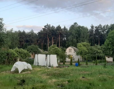 Продам дачу 15 соток в Чернигове ЗАЗ. ст Октябрьское