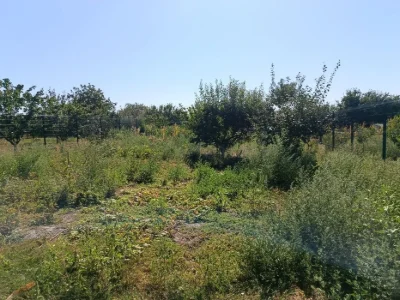 Sale of 1/2 part of a house 75 sq m in Otradnoe
