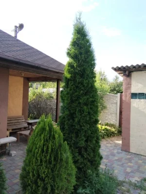 продажа дом берег Левшинского залива