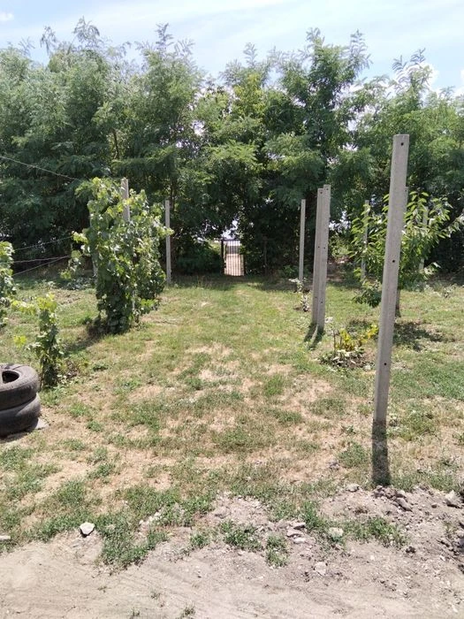 продажа дом берег Левшинского залива