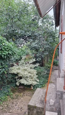Продам дачний будинок