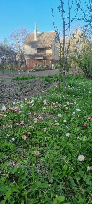 Продам дачний будинок
