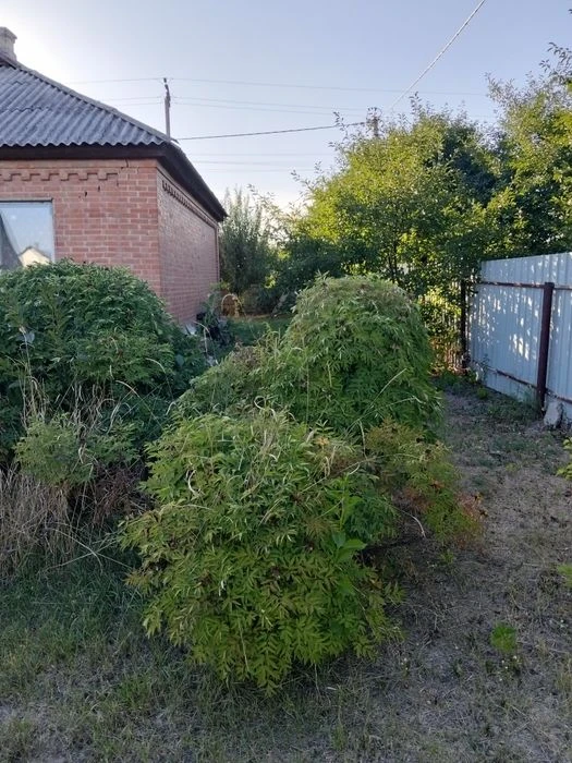 Продам будинок Щербані