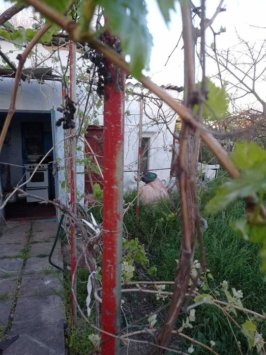 Продам Дом-2 комн. + летняя кухня-1 комн. участок 6 соток в