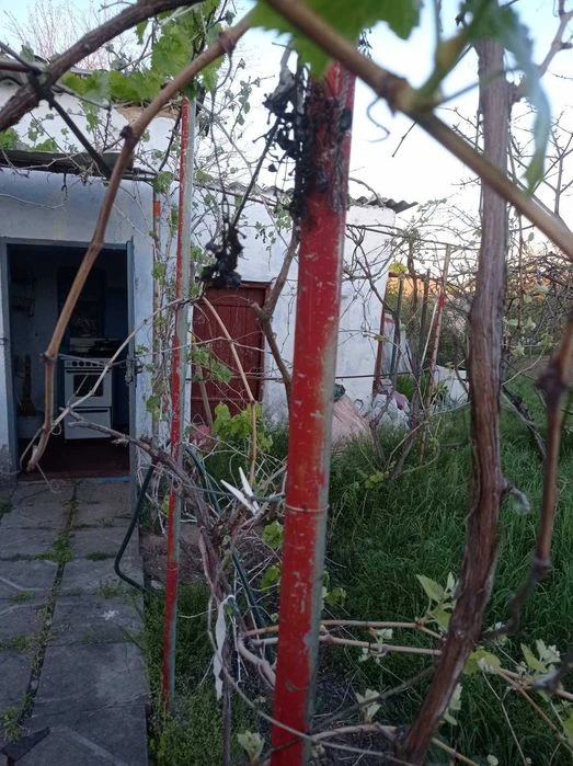 Продам Дом-2 комн. + летняя кухня-1 комн. участок 6 соток в